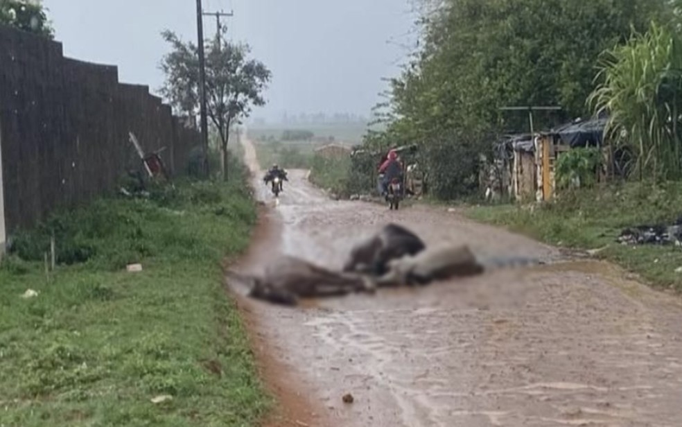 Furto de energia resulta em morte de três cavalos em Nossa Senhora da Glória